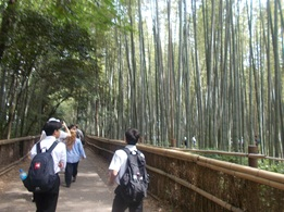 Syuugaku3
